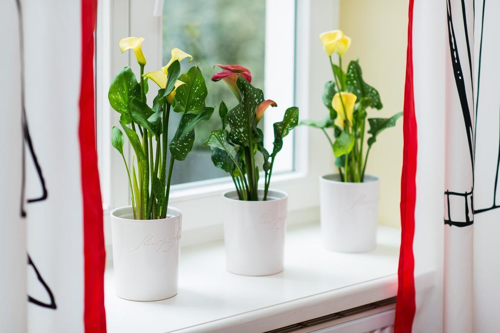 Style4Rent Sunny Old Town Apartments Krakow Room photo